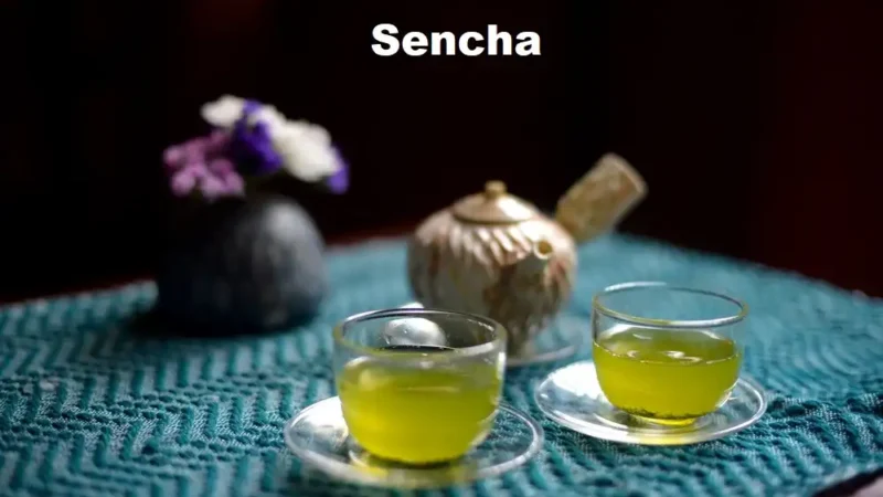 Sencha: Japan’s Quintessential Green Tea