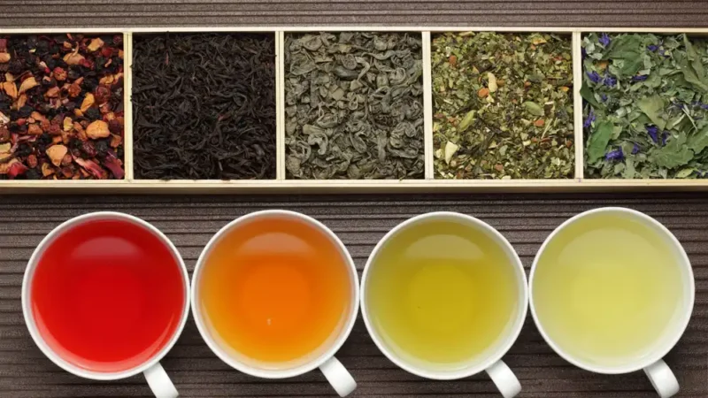 Sip by Sip: Unveiling the Rich Tapestry of Tea Varieties and Traditions