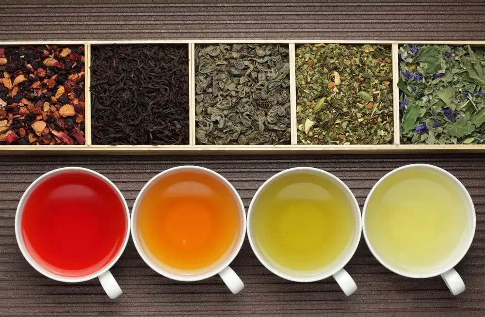 Sip by Sip: Unveiling the Rich Tapestry of Tea Varieties and Traditions